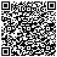 QR Code for bitcoin:bitcoin:bitcoin:bitcoin:bitcoin:bitcoin:bitcoin:bitcoin:bitcoin:bitcoin:bitcoin:336rbQRPGVb2PEGoRhBDDh4e446kD3xWbU
