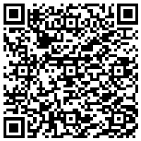 QR Code for bitcoin:bitcoin:bitcoin:bitcoin:bitcoin:bitcoin:bitcoin:bitcoin:bitcoin:bitcoin:bitcoin:XhdEbKyfFfvsTdBp3mAyH2K1BAzJDuDAVJ