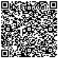 QR Code for bitcoin:bitcoin:bitcoin:bitcoin:bitcoin:bitcoin:bitcoin:bitcoin:bitcoin:bitcoin:bitcoin:bitcoin:bitcoin:bitcoin:litecoin:LPnaH4eCTtcYrgHD7AwN895XLbdARS23Dd