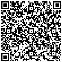 QR Code for bitcoin:bitcoin:bitcoin:bitcoin:bitcoin:bitcoin:bitcoin:bitcoin:bitcoin:bitcoin:bitcoin:bitcoin:bitcoin:bitcoin:litecoin:M9aT2BYbsPPRUXqVZW5CmT4e8iB6w4bmwt