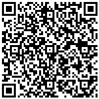 QR Code for bitcoin:bitcoin:bitcoin:bitcoin:bitcoin:bitcoin:bitcoin:bitcoin:bitcoin:bitcoin:bitcoin:bitcoin:litecoin:LMvSYDX8FkJwFT5FcbZ47dxdUdECLtMMtK