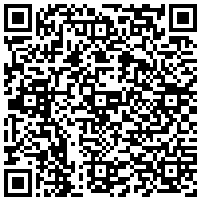 QR Code for bitcoin:bitcoin:bitcoin:bitcoin:bitcoin:bitcoin:bitcoin:bitcoin:bitcoin:bitcoin:bitcoin:litecoin:LP9e9PSFG5LssWjzFm69fzK4vpgKcTLCUn