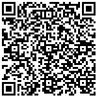 QR Code for bitcoin:bitcoin:bitcoin:bitcoin:bitcoin:bitcoin:bitcoin:bitcoin:bitcoin:bitcoin:bitcoin:litecoin:LP9hSLau5WWBkLjnaNTGR9FxEXPhN9Msgk
