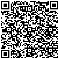QR Code for bitcoin:bitcoin:bitcoin:bitcoin:bitcoin:bitcoin:bitcoin:bitcoin:bitcoin:bitcoin:bitcoin:litecoin:LPkmEovBazPLZcGM7jPbTfCeK5cdHqdyFb