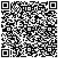 QR Code for bitcoin:bitcoin:bitcoin:bitcoin:bitcoin:bitcoin:bitcoin:bitcoin:bitcoin:bitcoin:bitcoin:litecoin:LPmickDaxss751E8eyCNNFmTFtjBBsL2fY