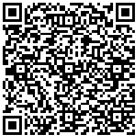 QR Code for bitcoin:bitcoin:bitcoin:bitcoin:bitcoin:bitcoin:bitcoin:bitcoin:bitcoin:bitcoin:bitcoin:litecoin:LPnmoLDZcBfvvofkdTPgbr55Scum2KBoKF