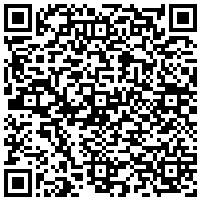 QR Code for bitcoin:bitcoin:bitcoin:bitcoin:bitcoin:bitcoin:bitcoin:bitcoin:bitcoin:bitcoin:bitcoin:litecoin:LPzDoCK6fpAmENAob1Go6vaxRtnMDHncVD