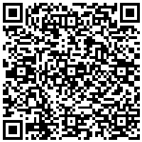 QR Code for bitcoin:bitcoin:bitcoin:bitcoin:bitcoin:bitcoin:bitcoin:bitcoin:bitcoin:bitcoin:bitcoin:litecoin:LQNFJsZ4JDMQ6dkMcYeiCh7sZi6it23MT6