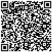 QR Code for bitcoin:bitcoin:bitcoin:bitcoin:bitcoin:bitcoin:bitcoin:bitcoin:bitcoin:bitcoin:bitcoin:litecoin:LRZ8bBidgRaByLu5rdkXxPDUnScostqZoo