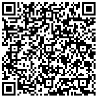 QR Code for bitcoin:bitcoin:bitcoin:bitcoin:bitcoin:bitcoin:bitcoin:bitcoin:bitcoin:bitcoin:bitcoin:litecoin:LRhF1Up1AMBoVSubkEbSHseqrtyDfyW336