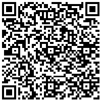 QR Code for bitcoin:bitcoin:bitcoin:bitcoin:bitcoin:bitcoin:bitcoin:bitcoin:bitcoin:bitcoin:bitcoin:litecoin:LRjvSkvrhnbbbaAr9weGPsKmSDQYBmk7vb