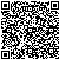 QR Code for bitcoin:bitcoin:bitcoin:bitcoin:bitcoin:bitcoin:bitcoin:bitcoin:bitcoin:bitcoin:bitcoin:litecoin:LSGShR4Zjxu4uTP7h7f2ryD2tyC7CFttNz