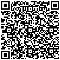 QR Code for bitcoin:bitcoin:bitcoin:bitcoin:bitcoin:bitcoin:bitcoin:bitcoin:bitcoin:bitcoin:bitcoin:litecoin:LSQJtViXZnRGiogbG42W4dgMB2VPnxL8G8