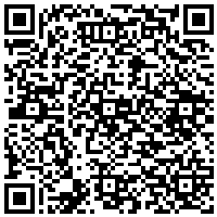 QR Code for bitcoin:bitcoin:bitcoin:bitcoin:bitcoin:bitcoin:bitcoin:bitcoin:bitcoin:bitcoin:bitcoin:litecoin:LTsDhRQvBb4pecZ6b2wCS7mmL4HvrCMbcd