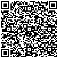 QR Code for bitcoin:bitcoin:bitcoin:bitcoin:bitcoin:bitcoin:bitcoin:bitcoin:bitcoin:bitcoin:bitcoin:litecoin:LURLxX2yvxCej4Sa91QN39krq31tnDfDWD