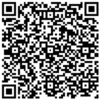 QR Code for bitcoin:bitcoin:bitcoin:bitcoin:bitcoin:bitcoin:bitcoin:bitcoin:bitcoin:bitcoin:bitcoin:litecoin:LVCknfe7fJeNmFpgqsJdAS5k7nykETSsVz