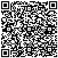 QR Code for bitcoin:bitcoin:bitcoin:bitcoin:bitcoin:bitcoin:bitcoin:bitcoin:bitcoin:bitcoin:bitcoin:litecoin:Lcf83bX6h9dHTsdVRp7dVvpvbaKCDm8CRe