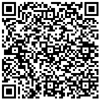 QR Code for bitcoin:bitcoin:bitcoin:bitcoin:bitcoin:bitcoin:bitcoin:bitcoin:bitcoin:bitcoin:bitcoin:litecoin:LcpXVmPiF4DchDPkPjF2ftvu2C9d6BBzmd