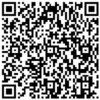 QR Code for bitcoin:bitcoin:bitcoin:bitcoin:bitcoin:bitcoin:bitcoin:bitcoin:bitcoin:bitcoin:bitcoin:litecoin:Le4nPDdaGZn3PVCVMoJ48YeSSh1YCMrQ2A