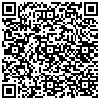 QR Code for bitcoin:bitcoin:bitcoin:bitcoin:bitcoin:bitcoin:bitcoin:bitcoin:bitcoin:bitcoin:bitcoin:litecoin:LeDiceCBSBYfduGF2fVCb3nEggkzUxPo51