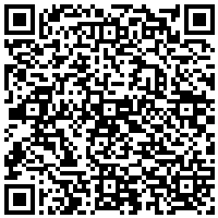 QR Code for bitcoin:bitcoin:bitcoin:bitcoin:bitcoin:bitcoin:bitcoin:bitcoin:bitcoin:bitcoin:bitcoin:litecoin:LeeYkYH3WNpDBmdrBXU8RF4nbn4aXrtGRE
