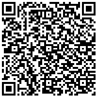 QR Code for bitcoin:bitcoin:bitcoin:bitcoin:bitcoin:bitcoin:bitcoin:bitcoin:bitcoin:bitcoin:bitcoin:litecoin:LerT6izoDuf3jJrYVELJrVDKrt1ea2Mswo
