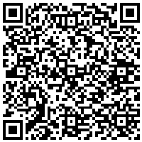 QR Code for bitcoin:bitcoin:bitcoin:bitcoin:bitcoin:bitcoin:bitcoin:bitcoin:bitcoin:bitcoin:bitcoin:litecoin:MBfneG6HjpiP8aF22XL6RN67YDFdTLop9G