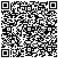 QR Code for bitcoin:bitcoin:bitcoin:bitcoin:bitcoin:bitcoin:bitcoin:bitcoin:bitcoin:bitcoin:bitcoin:litecoin:MBzcH5bYYQLFfXCsMKU57vYZeYCxLLDzFv