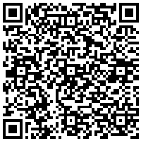 QR Code for bitcoin:bitcoin:bitcoin:bitcoin:bitcoin:bitcoin:bitcoin:bitcoin:bitcoin:bitcoin:bitcoin:litecoin:MDT2adcP9LWm1mQwp66tFvzR6KMT4eDfui