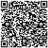 QR Code for bitcoin:bitcoin:bitcoin:bitcoin:bitcoin:bitcoin:bitcoin:bitcoin:bitcoin:bitcoin:bitcoin:litecoin:MDvbHUxPvLo3o7fG5L6bfS6V53GrEogYWJ