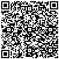 QR Code for bitcoin:bitcoin:bitcoin:bitcoin:bitcoin:bitcoin:bitcoin:bitcoin:bitcoin:bitcoin:bitcoin:litecoin:ML9AT7YD9JjYZNfXELLPby4BomPyYN1vod