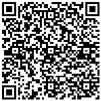 QR Code for bitcoin:bitcoin:bitcoin:bitcoin:bitcoin:bitcoin:bitcoin:bitcoin:bitcoin:bitcoin:bitcoin:litecoin:MLCnPy8agbr4AkmeP64JRVrVBCM2KJHAax