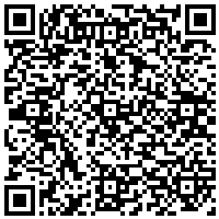 QR Code for bitcoin:bitcoin:bitcoin:bitcoin:bitcoin:bitcoin:bitcoin:bitcoin:bitcoin:bitcoin:bitcoin:litecoin:MLpjtJvrZey8bi8tRsaZLSqYAHTvAvJFdM