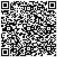 QR Code for bitcoin:bitcoin:bitcoin:bitcoin:bitcoin:bitcoin:bitcoin:bitcoin:bitcoin:bitcoin:bitcoin:litecoin:MMikRzvoLocR231bK4mWbXwfuMpuaPBYyX