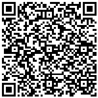 QR Code for bitcoin:bitcoin:bitcoin:bitcoin:bitcoin:bitcoin:bitcoin:bitcoin:bitcoin:bitcoin:bitcoin:litecoin:MNJvQuJgsfDxWef84P5Sn5JsEbecddPTDw