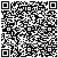 QR Code for bitcoin:bitcoin:bitcoin:bitcoin:bitcoin:bitcoin:bitcoin:bitcoin:bitcoin:bitcoin:bitcoin:litecoin:MNe3NrJCpKkHv4Fa2QKifBMsjcWWc8Q4od