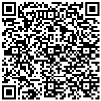 QR Code for bitcoin:bitcoin:bitcoin:bitcoin:bitcoin:bitcoin:bitcoin:bitcoin:bitcoin:bitcoin:bitcoin:litecoin:MQfvzLAVd5FsbNfinM2fVEdSdTRnW2LEtw