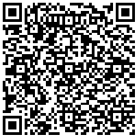 QR Code for bitcoin:bitcoin:bitcoin:bitcoin:bitcoin:bitcoin:bitcoin:bitcoin:bitcoin:bitcoin:bitcoin:litecoin:MSFymNWinJKyEzg7rXxcSPDc2vBQfFjdjH