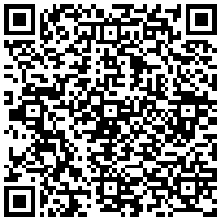 QR Code for bitcoin:bitcoin:bitcoin:bitcoin:bitcoin:bitcoin:bitcoin:bitcoin:bitcoin:bitcoin:bitcoin:litecoin:MSLScVkteWtuGNHAXHM7e1VMFUyXL2o7oq