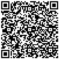 QR Code for bitcoin:bitcoin:bitcoin:bitcoin:bitcoin:bitcoin:bitcoin:bitcoin:bitcoin:bitcoin:bitcoin:litecoin:MSWBZzzmbYAJ4PfxZVtPJDUpHh37JvGLHw