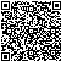 QR Code for bitcoin:bitcoin:bitcoin:bitcoin:bitcoin:bitcoin:bitcoin:bitcoin:bitcoin:bitcoin:bitcoin:litecoin:MSWmi9uYSZPPm5pDatgibKak6AsaG4Pm4h