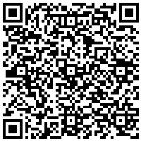QR Code for bitcoin:bitcoin:bitcoin:bitcoin:bitcoin:bitcoin:bitcoin:bitcoin:bitcoin:bitcoin:bitcoin:litecoin:MSY8DFDechTchvaWjCmQ981dqX4sQdGrdV