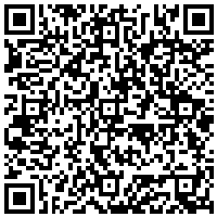 QR Code for bitcoin:bitcoin:bitcoin:bitcoin:bitcoin:bitcoin:bitcoin:bitcoin:bitcoin:bitcoin:litecoin:LLvZZASH6XLm81bGwG7HAp5zCfbSWpgGiG
