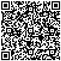 QR Code for bitcoin:bitcoin:bitcoin:bitcoin:bitcoin:bitcoin:bitcoin:bitcoin:bitcoin:bitcoin:litecoin:LZP4B9sByg2efGScpGDFuRDarsTyp41SbW