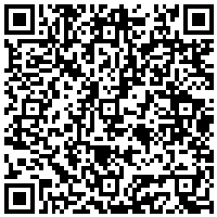 QR Code for bitcoin:bitcoin:bitcoin:bitcoin:bitcoin:bitcoin:bitcoin:bitcoin:bitcoin:bitcoin:litecoin:LcMabcJqXZPXU6Nypek3ycAMpyNeUf1H8g