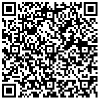QR Code for bitcoin:bitcoin:bitcoin:bitcoin:bitcoin:bitcoin:bitcoin:bitcoin:bitcoin:bitcoin:litecoin:MSLScVkteWtuGNHAXHM7e1VMFUyXL2o7oq