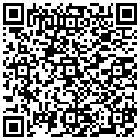 QR Code for bitcoin:bitcoin:bitcoin:bitcoin:bitcoin:bitcoin:bitcoin:bitcoin:litecoin:LThKG9A17fMLREBccJuA9oMB69KFAdEawk